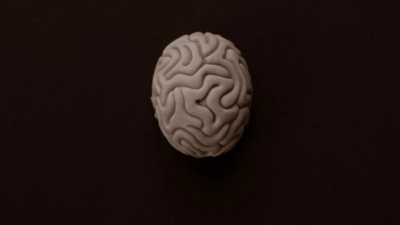image-block-40569531400289