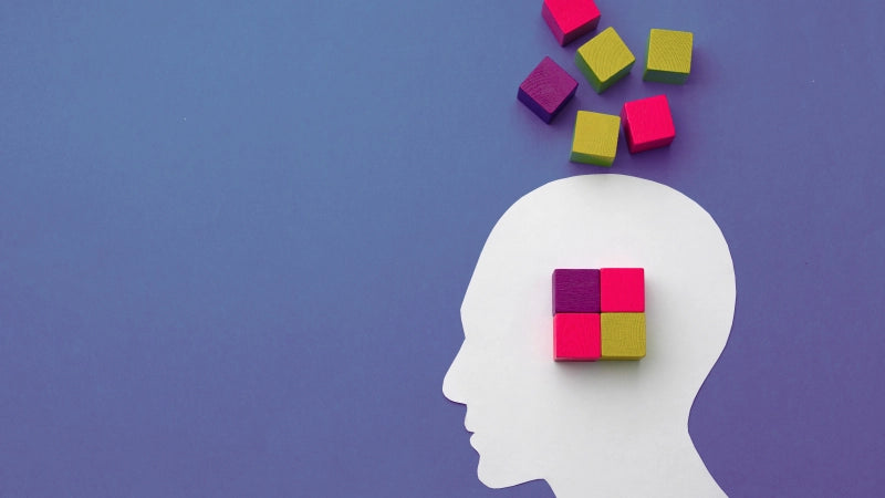 Curso de Psicoterapia Cognitivo Conductual + 5 Créditos ECTS