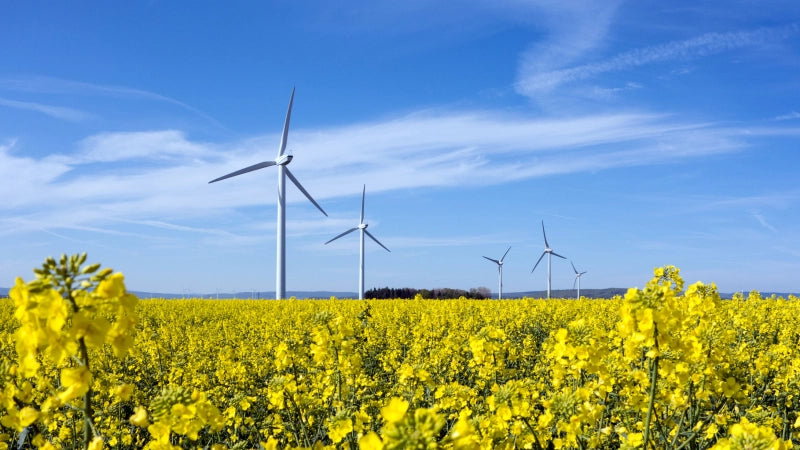 Curso en Instalaciones de Energía Eólica. Pequeña y Gran Potencia