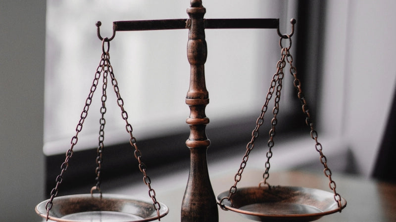 Curso en Procedimiento Laboral: la Jurisdicción Social