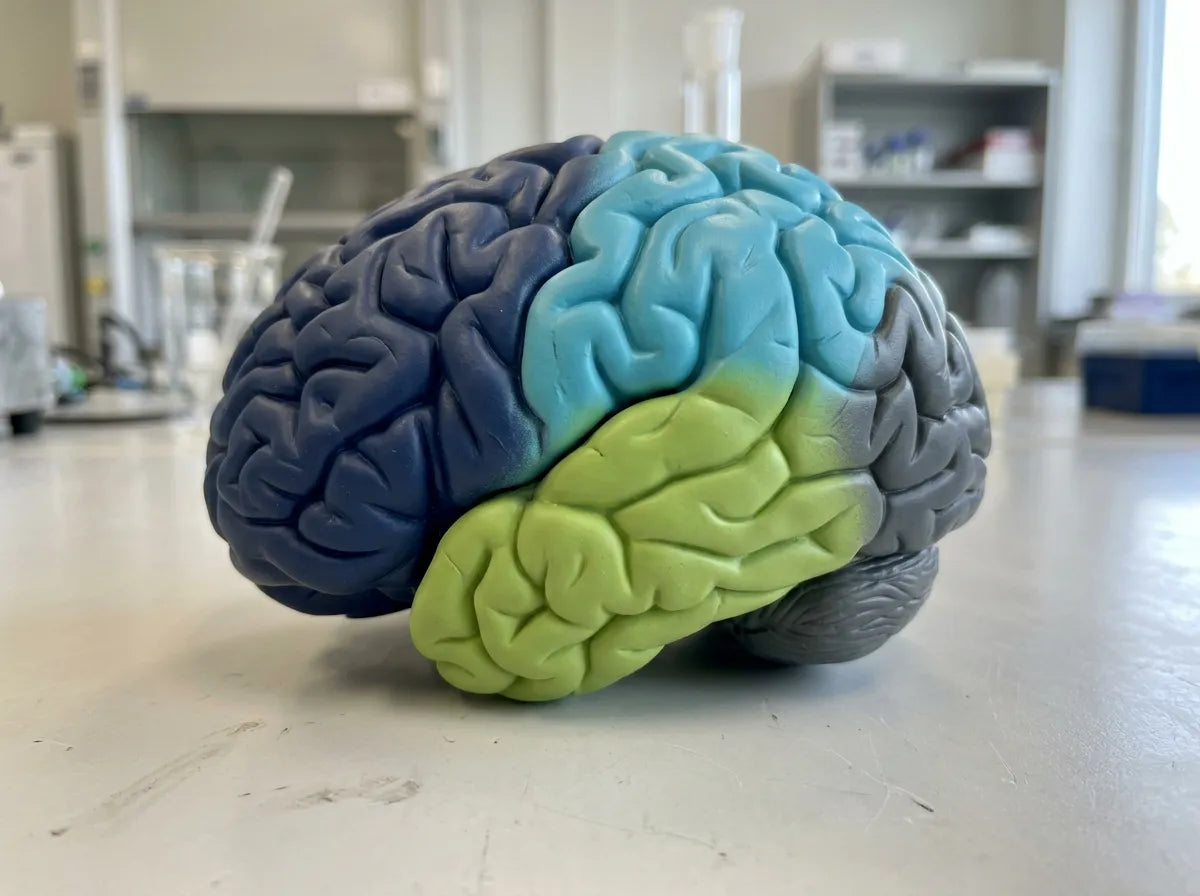 image-block-41514665082977